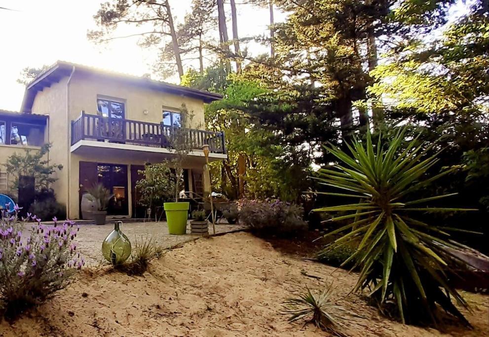 Mon Petit Coin Sous Les Pins Villa La Teste-de-Buch Dış mekan fotoğraf